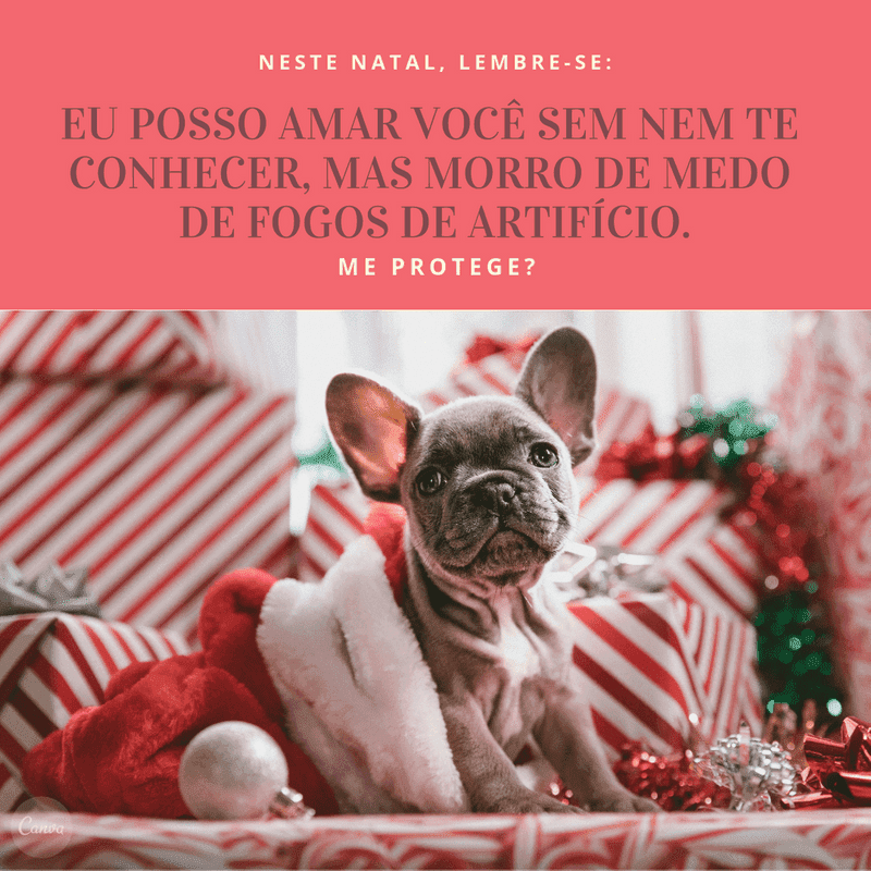 mensagem de feliz natal - 49
